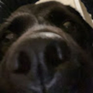 Meet your Posher, Sneha